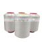 Polyamide PA6 High Technical Industrial Filament Yarn Nylon 6 FDY 840D/144F For Knitting