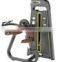 Commercial hot sale gym fitness equipment bicepts ASJ-S806 Camber  arm curl machine