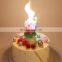Music Candle Magic Lotus Cake Flower Birthday Christmas Valentine Party Chinese Auto Wedding Cake Topper