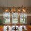 Indoor Iron Cage Chandelier Modern Ceiling Stainless Steel Pendant Lighting Lamp