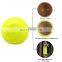Manufacturer Professional Padel Ball High Elasticity Custom Paddle Racket Balls