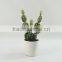 Best selling high simulation medium size green artificial succulent /cactus with melamine pot