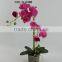 potted plant artificial orchid flowers