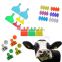 Supply animal ear tag laser ear tag for goat management