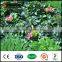 UV protected plastic artificial green garden leaf fence