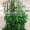 Wholesale decorative indoor artificial bamboo fake bamboo bonsai