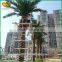 New design artificial date palm tree fiberglass canary palm tree