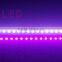 Korea led plant grow light strip lighting Red:Blue 3:1 4:1 5:1 6:1 7:1 8:1 9:1 LED Grow