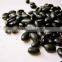 we are supplying all kinds of black beans for sale