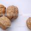 Supply with Chinese Bulk Walnuts in Shell for Sales