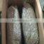 bakery grade sunflower kernels with best price