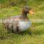 Animal goose shooting archery target