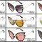 2015 Fashion Designer Sunglasses Women Personality Cat Eye Shades Glasses