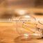 a60 led filament bulb