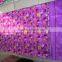 100% brushed polyester printed fabric for making bed sheets