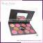 OEM baked blusher palette customized colors