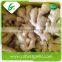 Dehydrated organic ginger