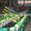 apple grader / industrial citrus size sorting machine