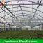 China factory direct sale multi-span uv poly greenhouse