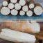 Tapioca peeling making machine