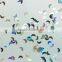 bulk sales rainbow glitters glitter powder for DIY