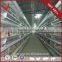 Most Popular Products Automatic Chicken Cage For Poultry Farm For Nigeria