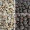 Hot selling nut processing color sorter in with new system