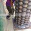 high quality artificial date palm tree fake coconut palm