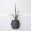 Natural belly seagrass basket / planter for home decoration