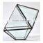 Truncated Zigzag 2 sizes Geometric Flower Glass Terrarium