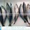 Best Price Frozen Fish Frozen Mackerel 400-600g