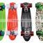 HFCW05 wholesale New Product fish skateboard PP plastic four wheel skateboard