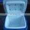 10L Car Cooler/Warmer Fridge Plastic Box for Picnic