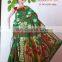 indian sharee picture