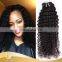 Brand New! Unprocessed Malaysian india best lady weaves virgin human hair kinky curly sixe girl hotbeauty