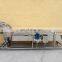 Green vegetable washing machine/industrial/industrial fruit washer