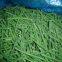 Frozen asparagus beans( Cowpeas)