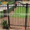 Popular high quality powder coated house main iron gate designs