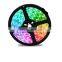 RGB Strip Lighting White Warm White Red Blue LED Waterproof Flexible Tape Rope Lamp