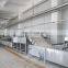 small scale pineapple juice powder production line