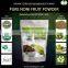 Pure&High Quality Noni Powder Bulk Exporter