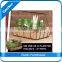 Garden Yard Basket Planter / Planter with dividers