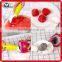 Amazon ebay hot selling lovely kitchen tool ice cream baller spoon