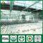 Fresh Dried Shiitake Mushroom Cultivation Lentinula Edodes Growing Kit Log Spawn