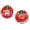 UL standard bourdon type extinguisher gauge