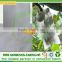 100% PP spunbond nonwoven fabric for weed control banana bag