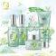 Angelica Tea Tree Acne Series