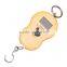 40Kg Stainless Steel Hook Digital Baggage Scale