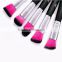 2016 10pcs hot sell facial cleansing makeup cosmetic brush set with package wholesale