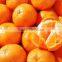 Tangerine Peel Extract